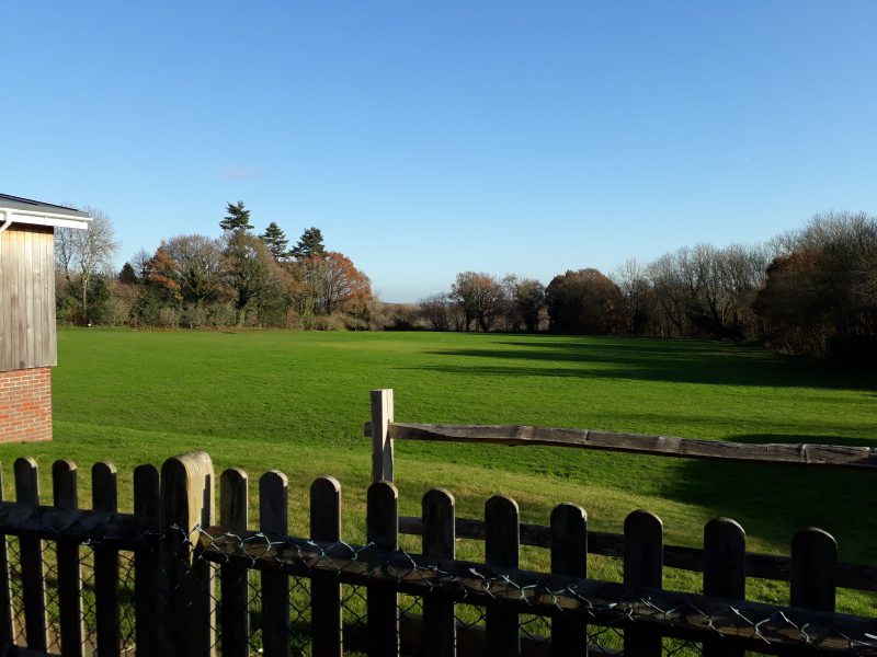 Court Meadow Green